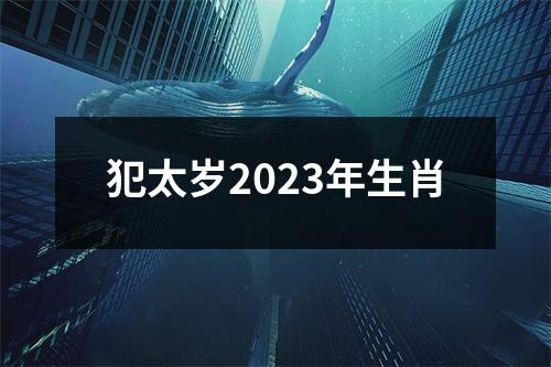 犯太岁2023年生肖