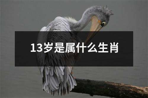 13岁是属什么生肖