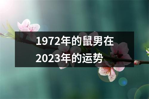 1972年的鼠男在2023年的运势