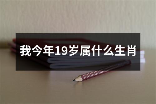 我今年19岁属什么生肖