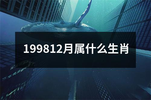 199812月属什么生肖