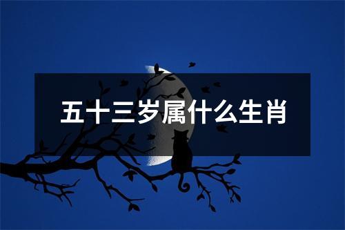 五十三岁属什么生肖