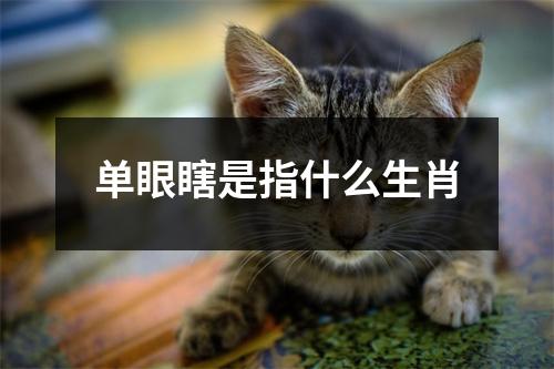 单眼瞎是指什么生肖