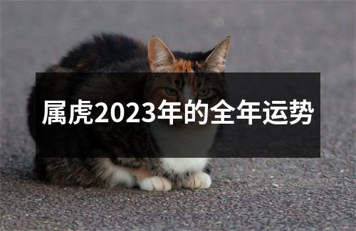 属虎2023年的全年运势