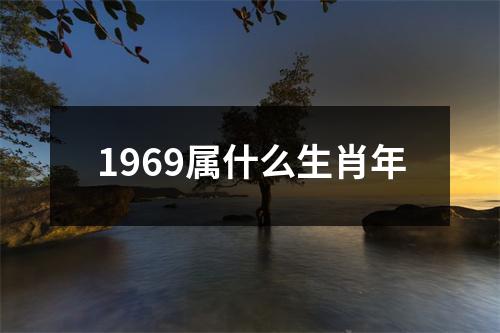 1969属什么生肖年