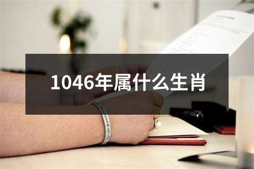 1046年属什么生肖