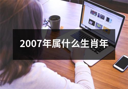 2007年属什么生肖年