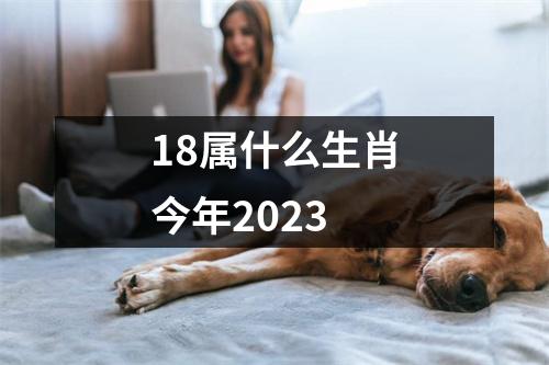 18属什么生肖今年2023