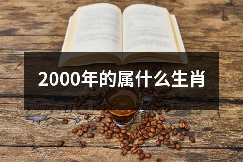 2000年的属什么生肖