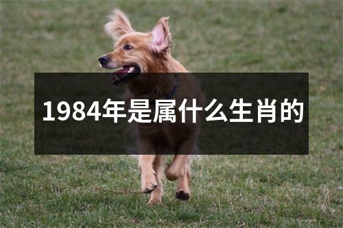 1984年是属什么生肖的