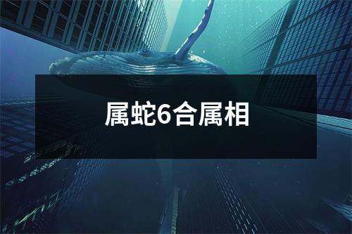 属蛇6合属相