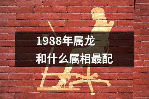 1988年属龙和什么属相最配