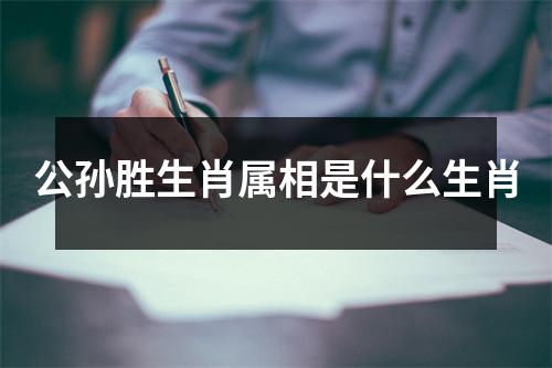 公孙胜生肖属相是什么生肖