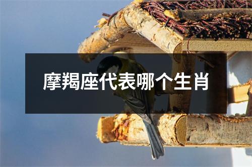 摩羯座代表哪个生肖