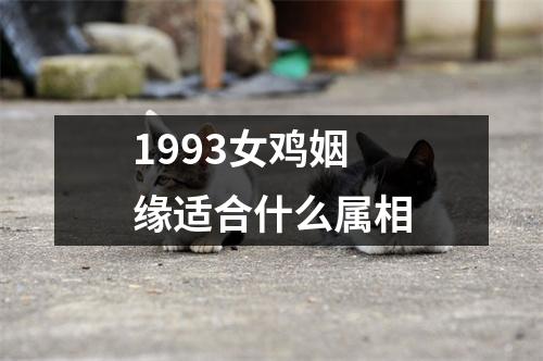 1993女鸡姻缘适合什么属相