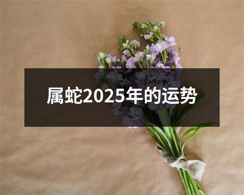 属蛇2025年的运势