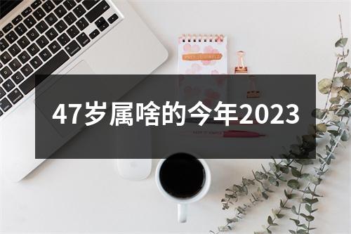 47岁属啥的今年2023