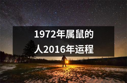 1972年属鼠的人2016年运程