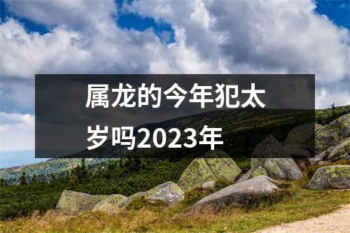 属龙的今年犯太岁吗2023年