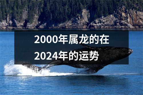 2000年属龙的在2024年的运势