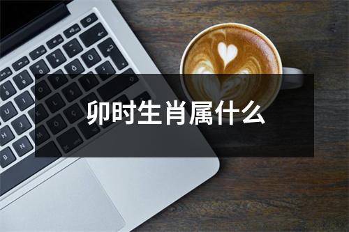 卯时生肖属什么