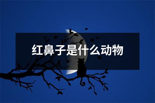 红鼻子是什么动物