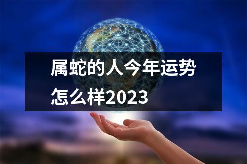 属蛇的人今年运势怎么样2023