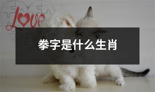 拳字是什么生肖