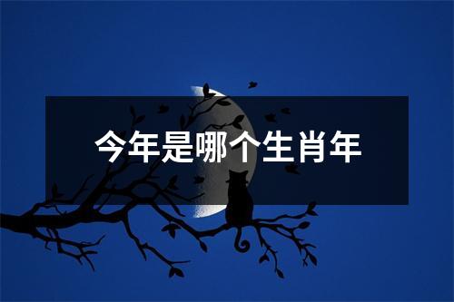 今年是哪个生肖年