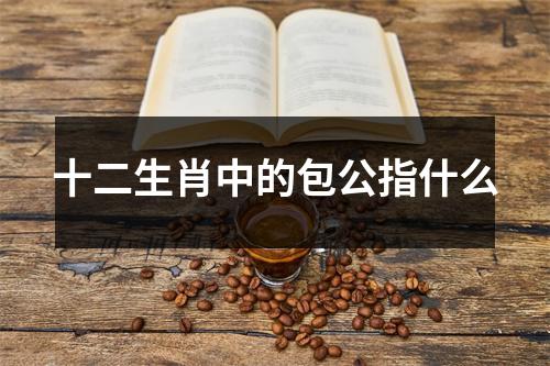 十二生肖中的包公指什么