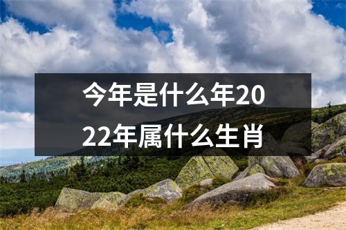 今年是什么年2022年属什么生肖