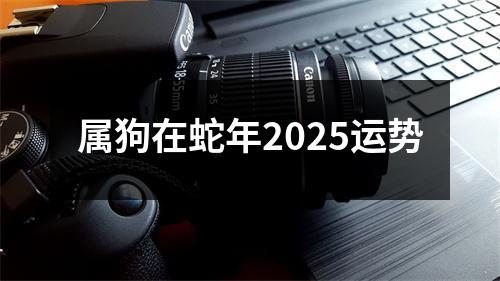 属狗在蛇年2025运势