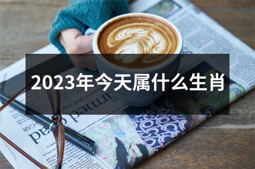 2023年今天属什么生肖