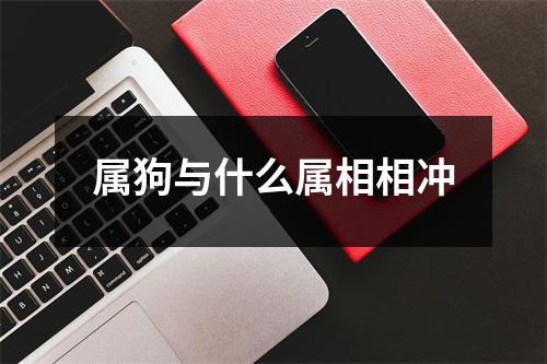 属狗与什么属相相冲