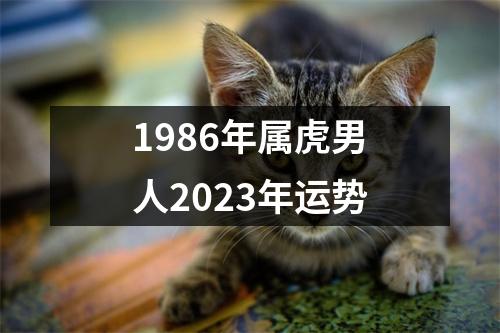 1986年属虎男人2023年运势