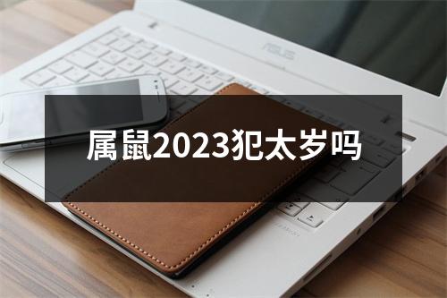 属鼠2023犯太岁吗