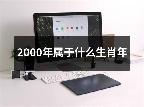 2000年属于什么生肖年