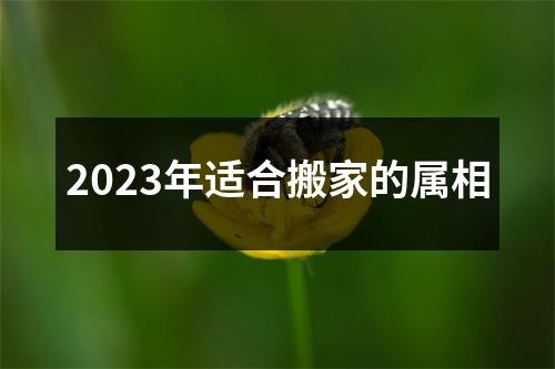 2023年适合搬家的属相