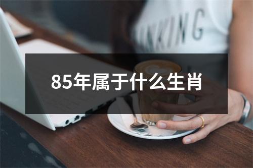 85年属于什么生肖