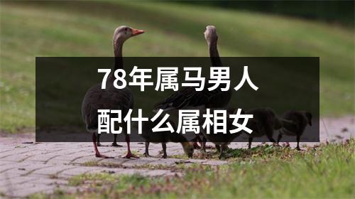 78年属马男人配什么属相女