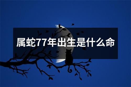 属蛇77年出生是什么命