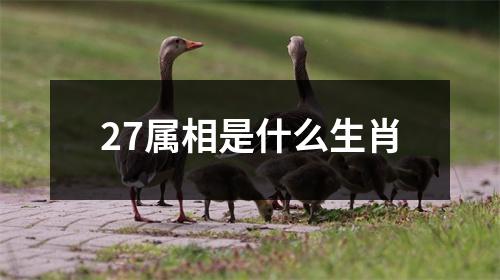 27属相是什么生肖