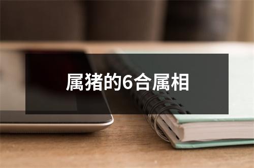 属猪的6合属相