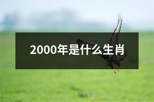 2000年是什么生肖