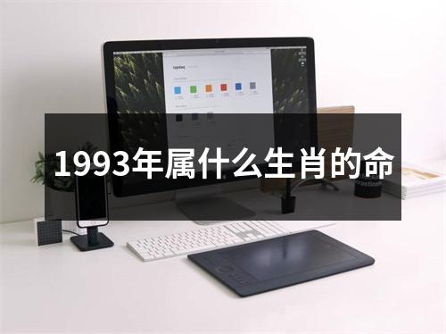 1993年属什么生肖的命