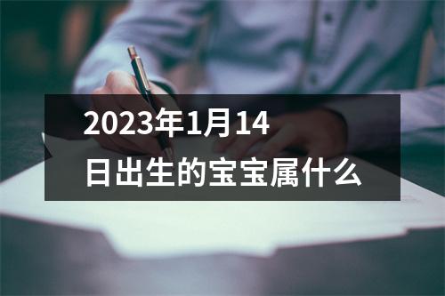 2023年1月14日出生的宝宝属什么