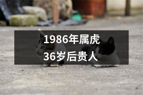 1986年属虎36岁后贵人