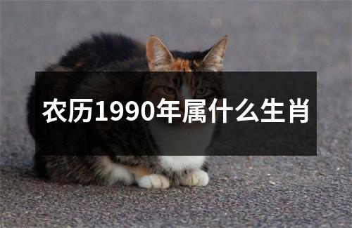 农历1990年属什么生肖