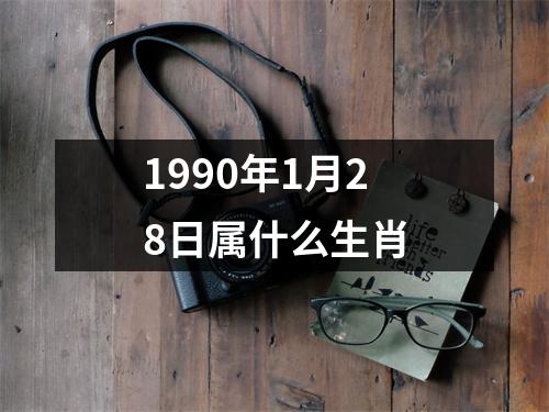 1990年1月28日属什么生肖