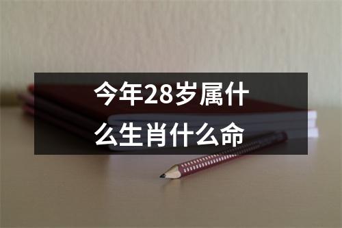 今年28岁属什么生肖什么命